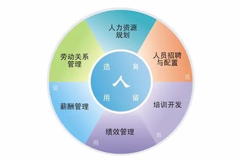 组织发展的内容丰富多样，它关乎于企业的长期稳定与繁荣。今天，我们就一起探索组织发展的核心内容。