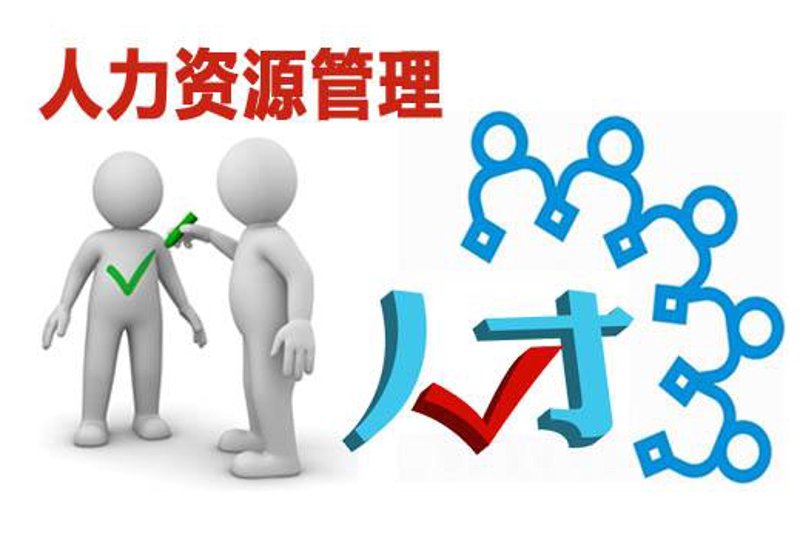 组织发展OD vs. 传统培训：哪个更适合你的企业？