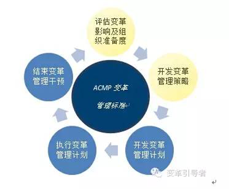 罗兰贝格管理顾问如何引领企业发展
